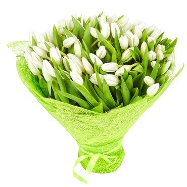 Шикарный букет белых тюльпанов купить в Краснодаре с доставкой